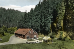 histimg118