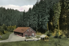 histimg119