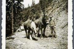 oberharz-lautenthal-goslar-hahnenklee-altenau-10te-bis-20-juni-1939041