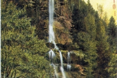 pkarte004