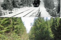 silbernaal