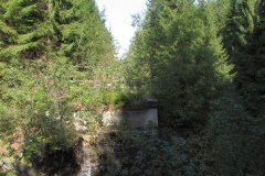 silbernaalneu