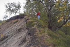 ARCHI395