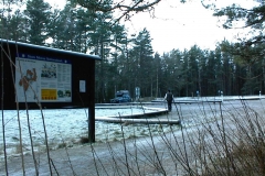 DSC00006
