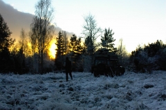 DSC00007