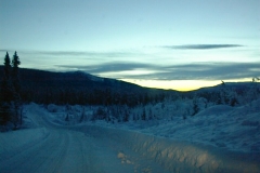 DSC00008