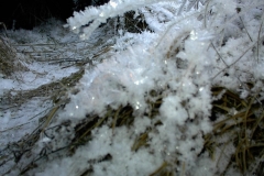 DSC00012