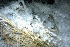DSC00013