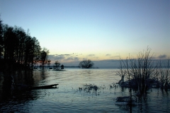 DSC00017