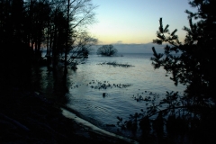 DSC00019