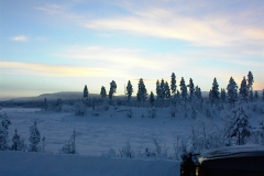 DSC00019