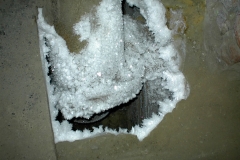 DSC00023