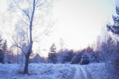 SCHLA025