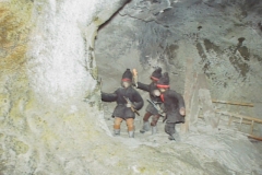 SCHLA176